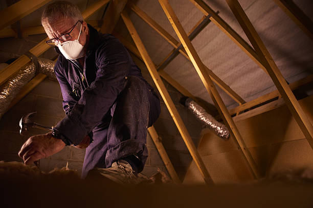 Best Spray Foam Insulation  in Woodbury, TN