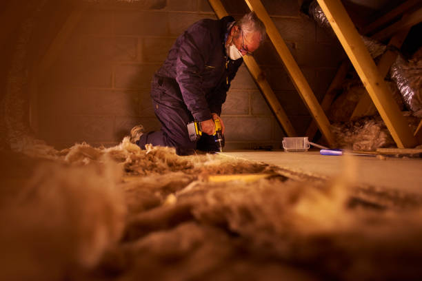Best Insulation for New Construction  in Woodbury, TN